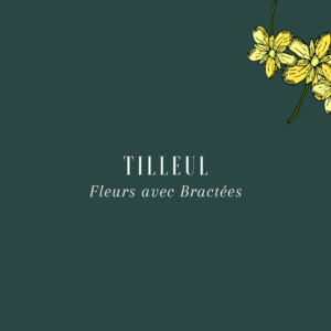 Tilleul