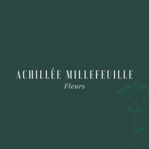 Achillée Millefeuille
