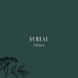 Sureau