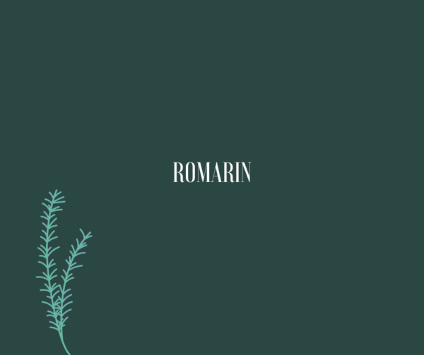 Romarin