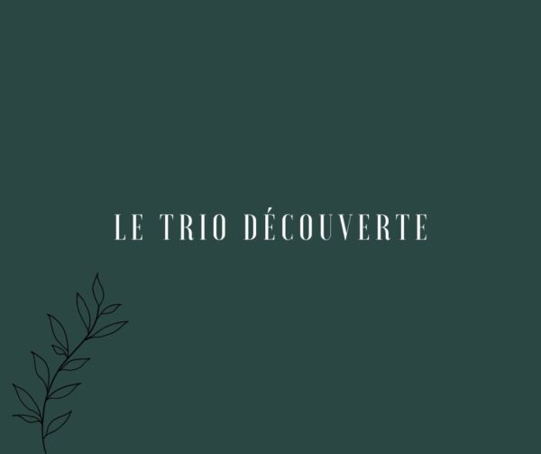Le trio découverte